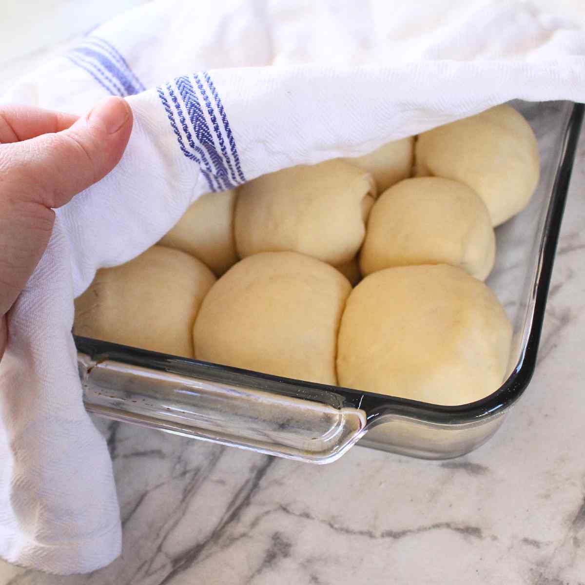 Risen dinner rolls in a glass baking pan.